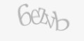 Защитный код